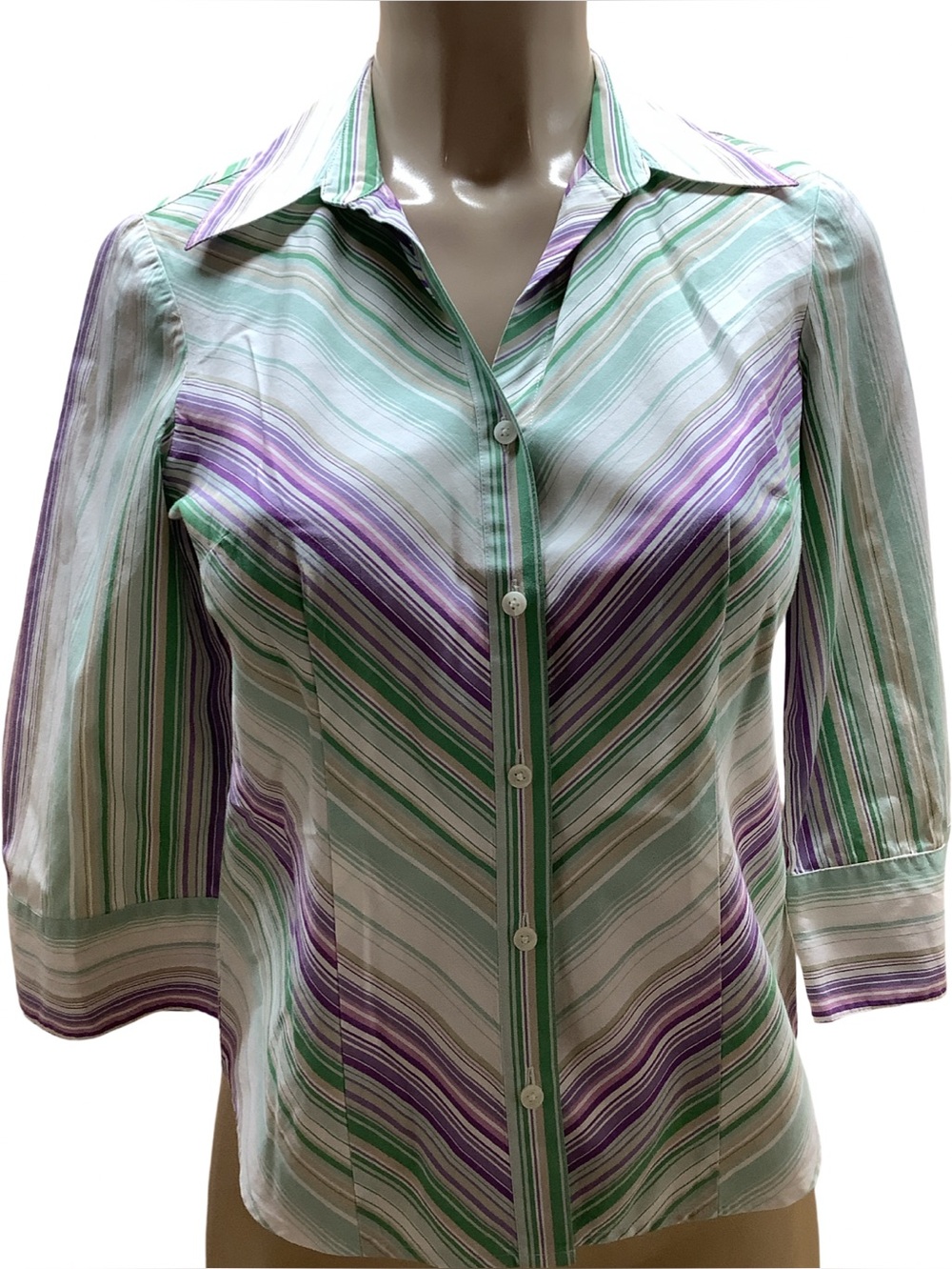 Ann Taylor Loft Size SP VibtageWomen's Striped Button-Up Shirt in Green & Purple